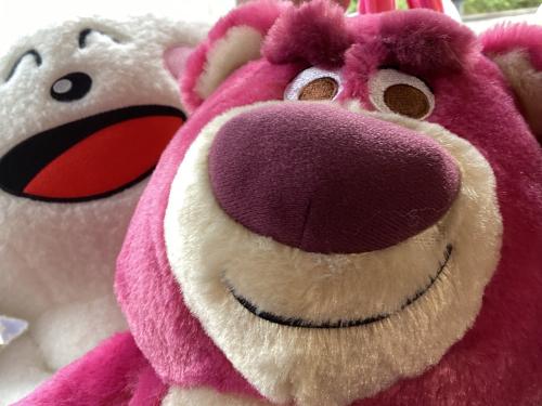 トレファクブログ画像9