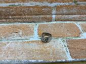 トレファク熊谷駅前店ブログ