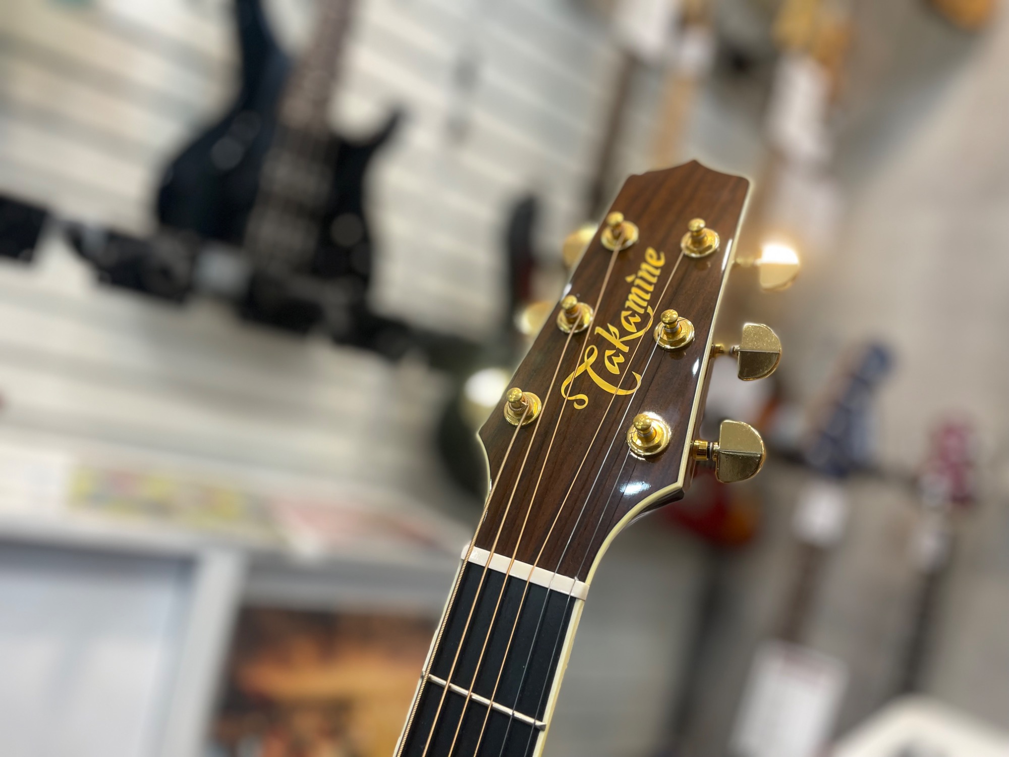 CHAMP【引き取りのみ】アコースティックギター Sepia Crue WG-10 Natural (ナチュラル) アコースティックギター初心者