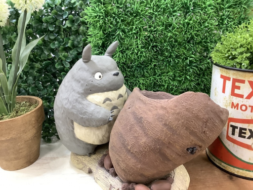 プランターのとなりのトトロ