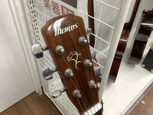 ギターのMORRIS(モーリス)