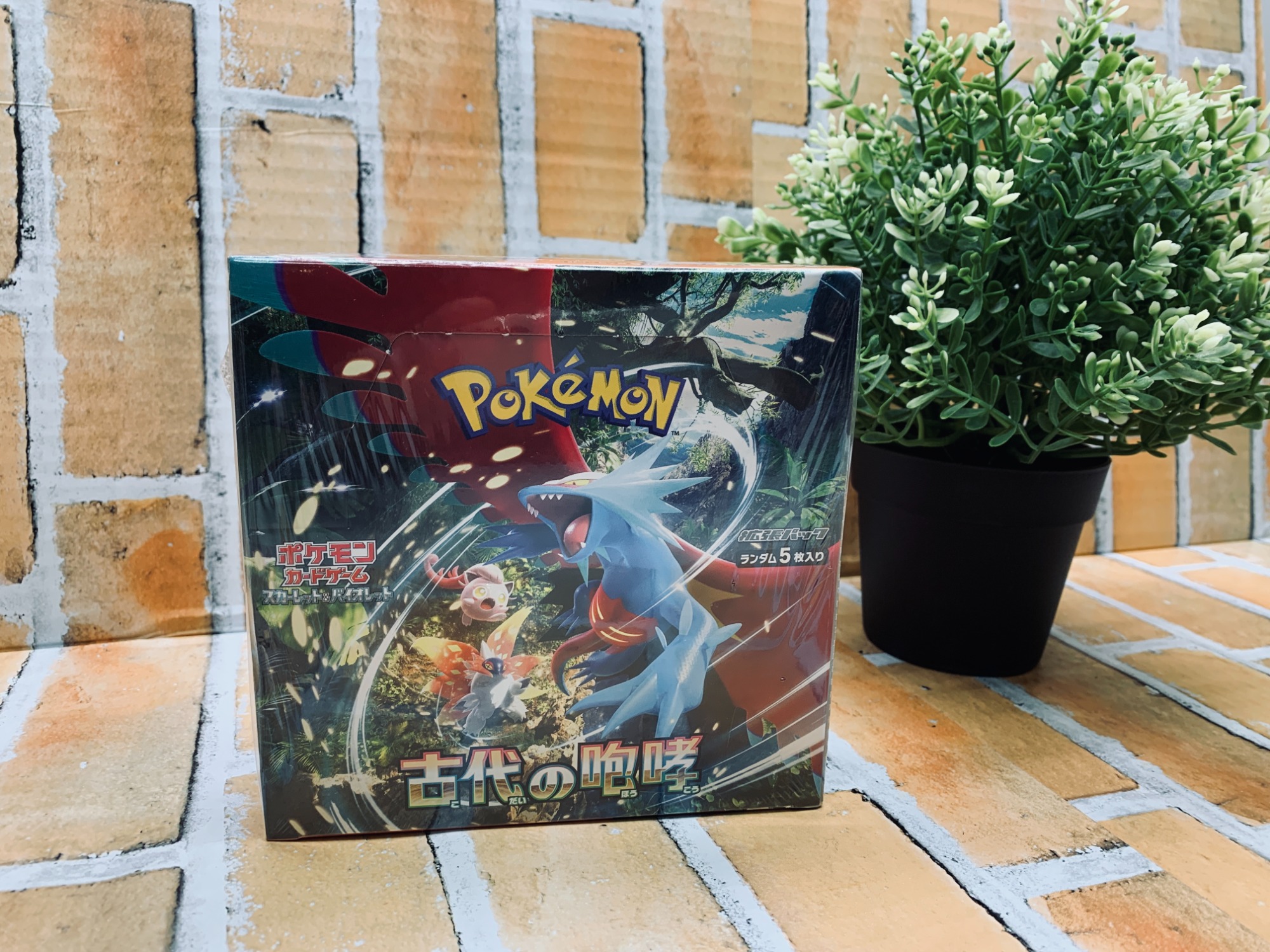 ポケカ買取強化中！】ポケモンカード 古代の咆哮BOXを買取入荷しました
