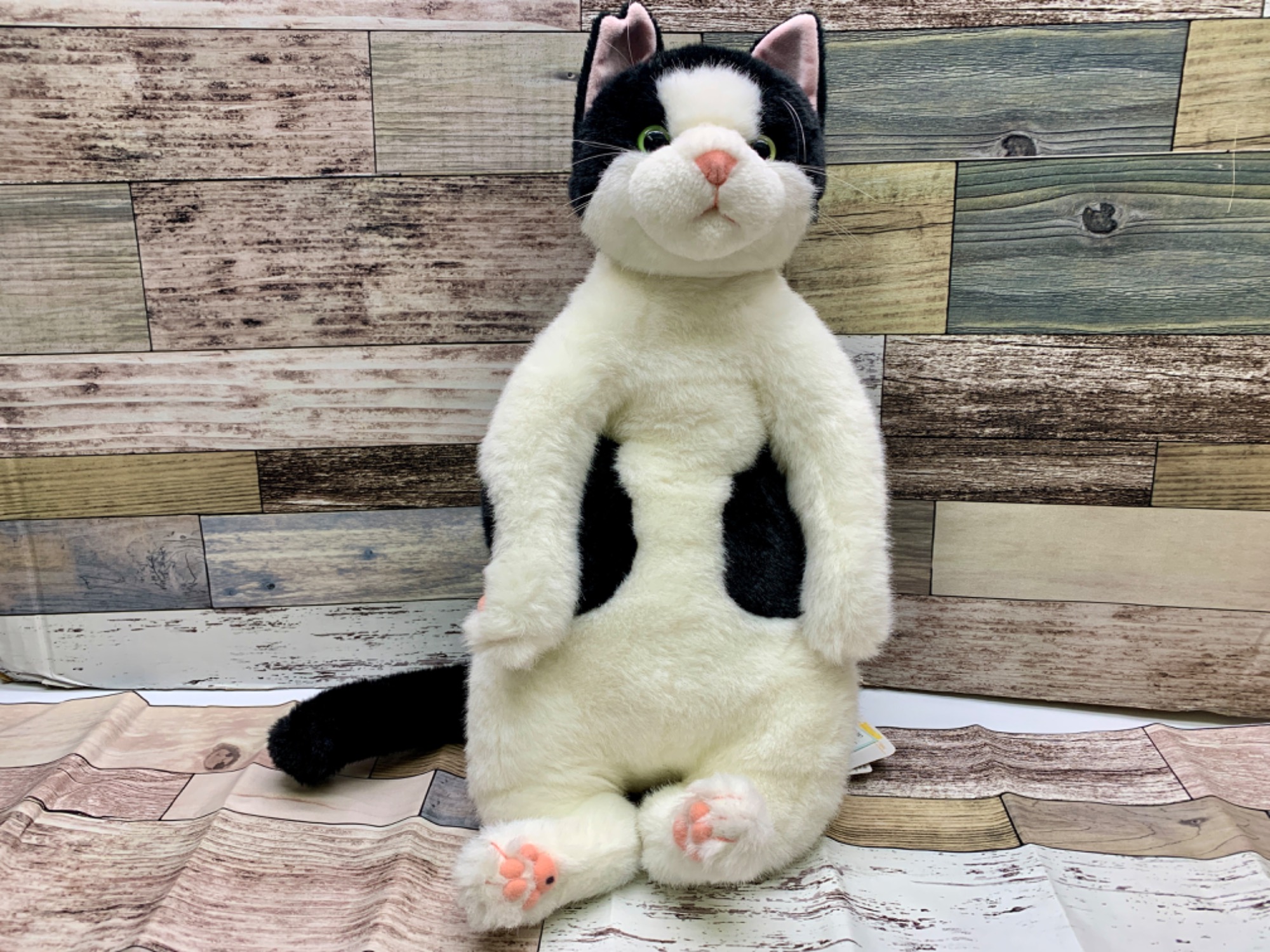 ホビー買取強化中】Cuddly(カドリー)よりネコのヌイグルミが買取