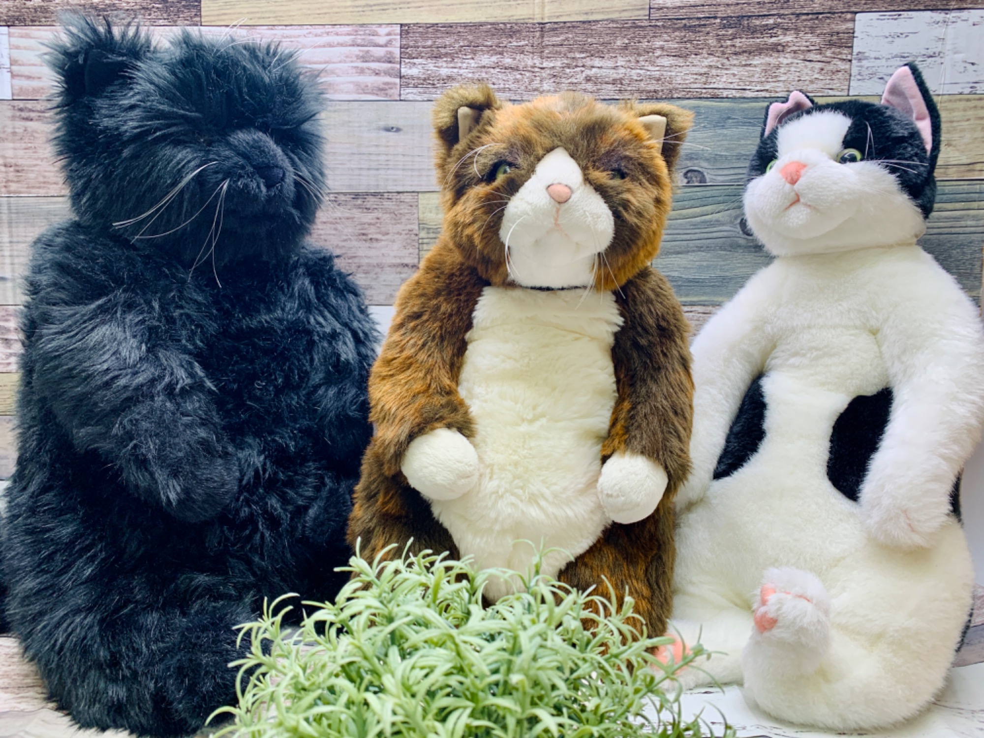 ホビー買取強化中】Cuddly(カドリー)よりネコのヌイグルミが買取