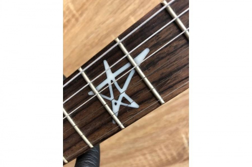 テレキャスターのアヴリル・ラヴィーン