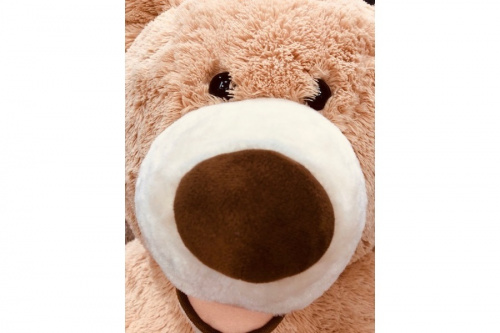 ぬいぐるみのコストコ　くま　中古