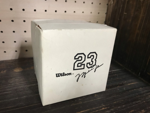 Wilson×マイケルジョーダン