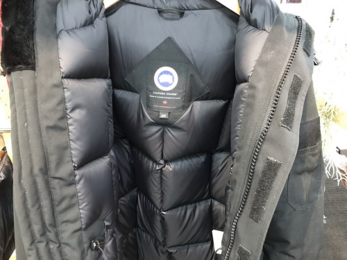 CANADA GOOSE