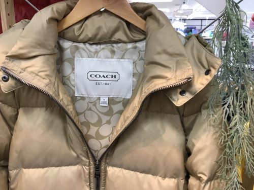 レディースファッションのダウン