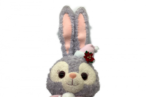 Disney（ディズニー）の限定品