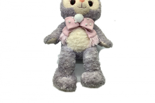 限定品の八王子 多摩 高尾  買取