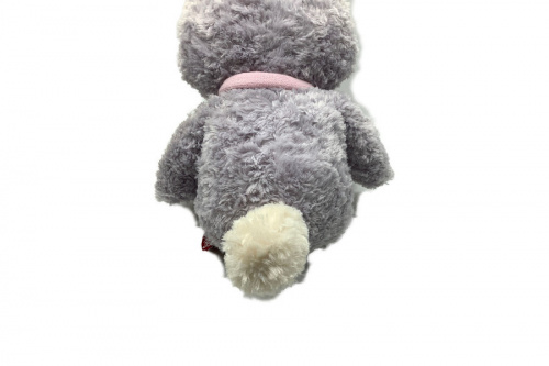 21年03月28日：画像７