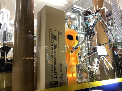 インテリアの置物