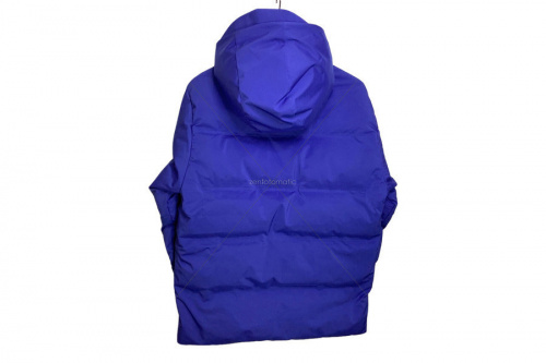 ダウンのPatagonia