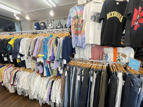 レディースファッションの夏物