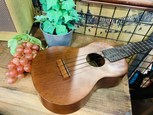 ウクレレのS,NAKANISHI