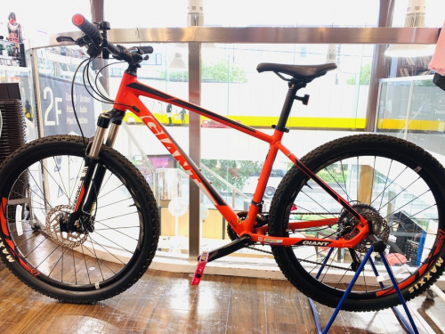 自転車のマウンテンバイク