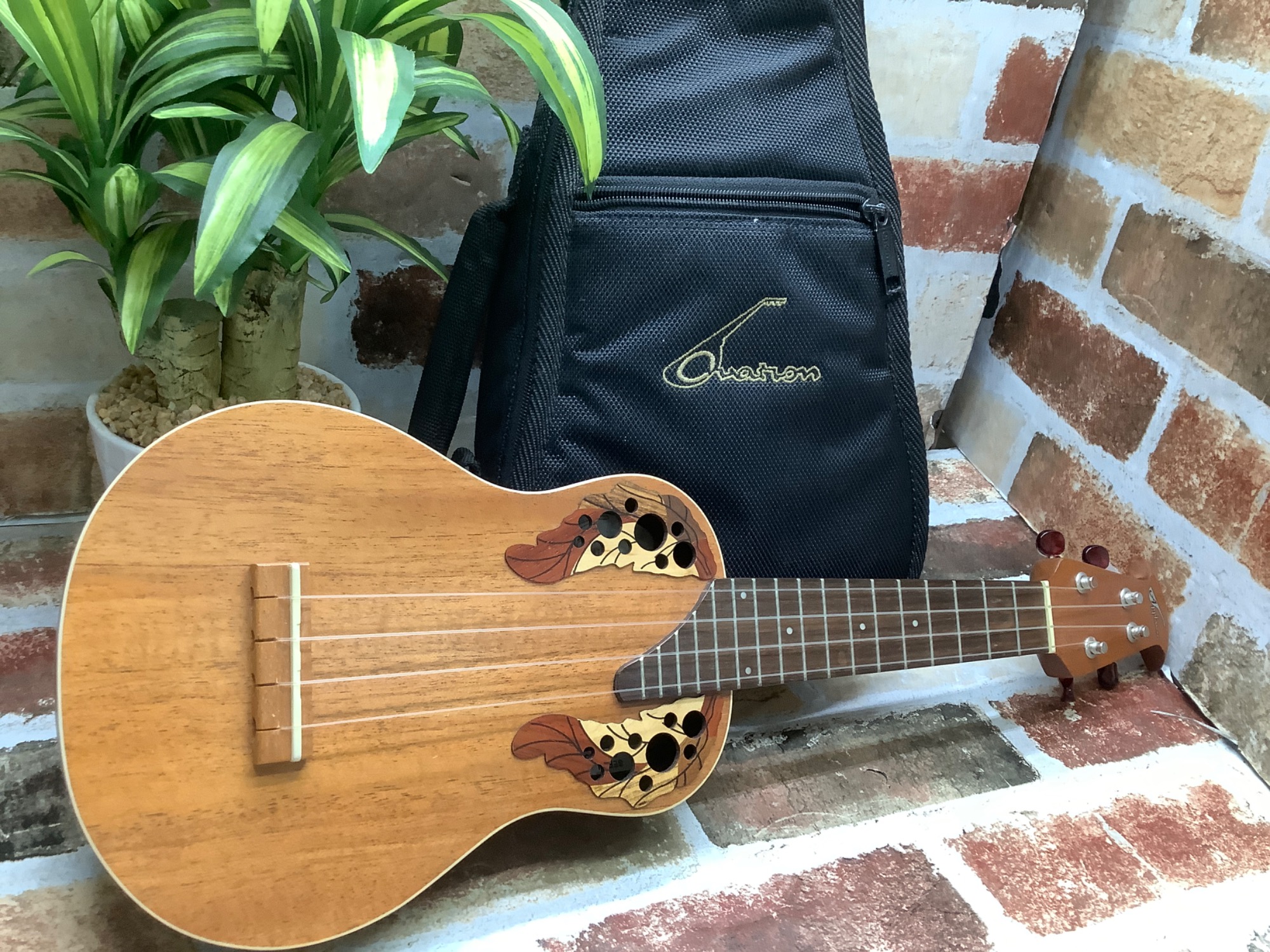 正規品，新作登場 ☆オベーション ウクレレ☆Applause by Ovation UA20