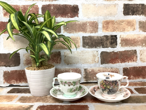 トレファクブログ画像1