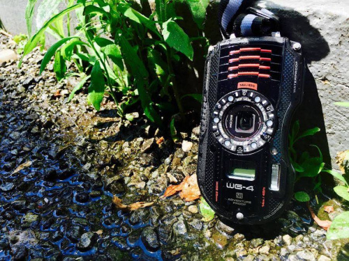 デジカメのRICOH