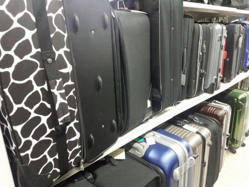 16年11月10日：画像６