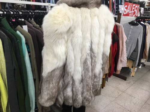 コートのSAGA FOX