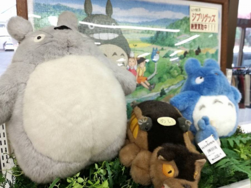 17年06月01日：画像６