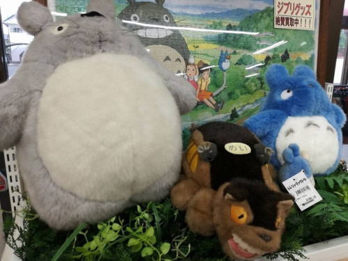 17年06月20日：画像８