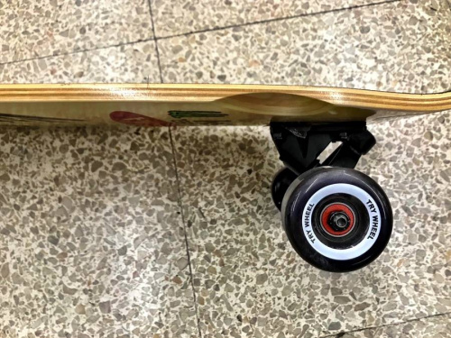 TRYWHEEL FISH
