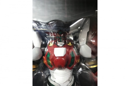 RIOBOT ¿¿¥²¥Ã¥¿¡¼£±¤Î¤Ê¤ó¤Ç¤âÇã¼è