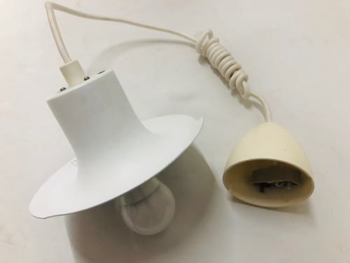 19年09月24日：画像６