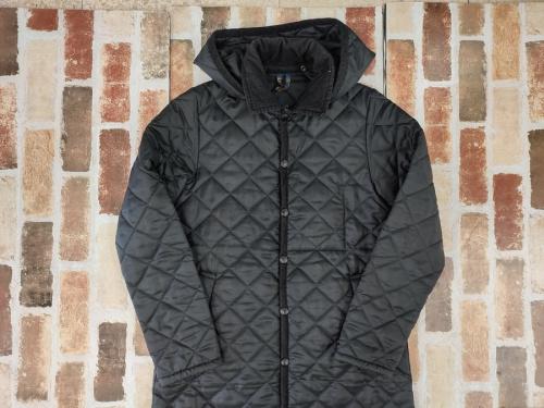 ジャケットのTHE NORTH FACE