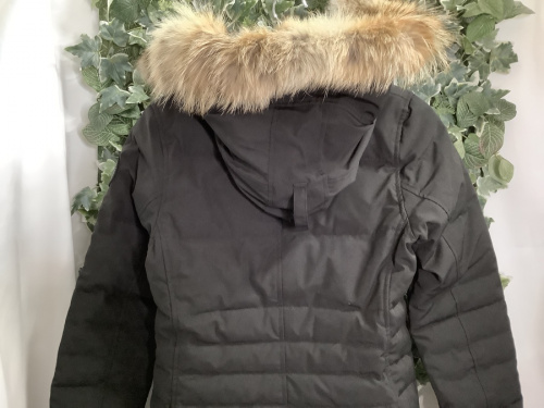 カナダグースの中古