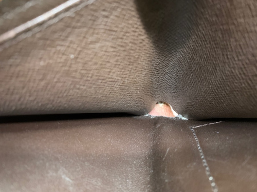 LOUIS VUITTONのキャンペーン