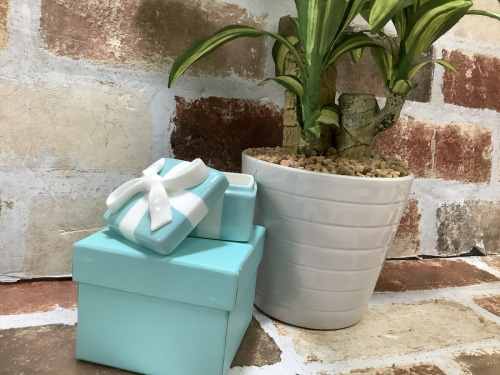 生活雑貨の小物入れ