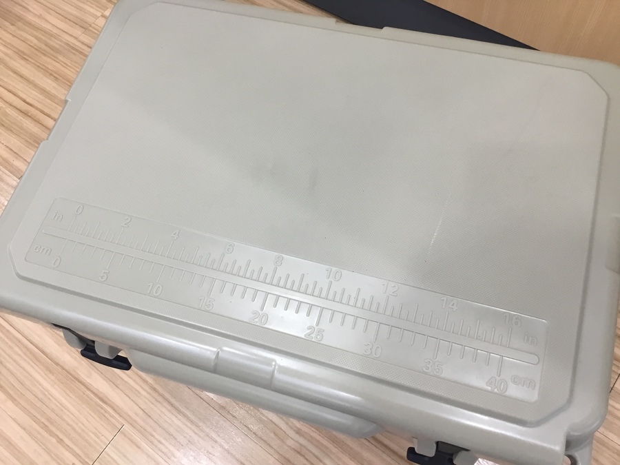 FIELDOOR(フィールドア)のノーザンクーラーボックス入荷です