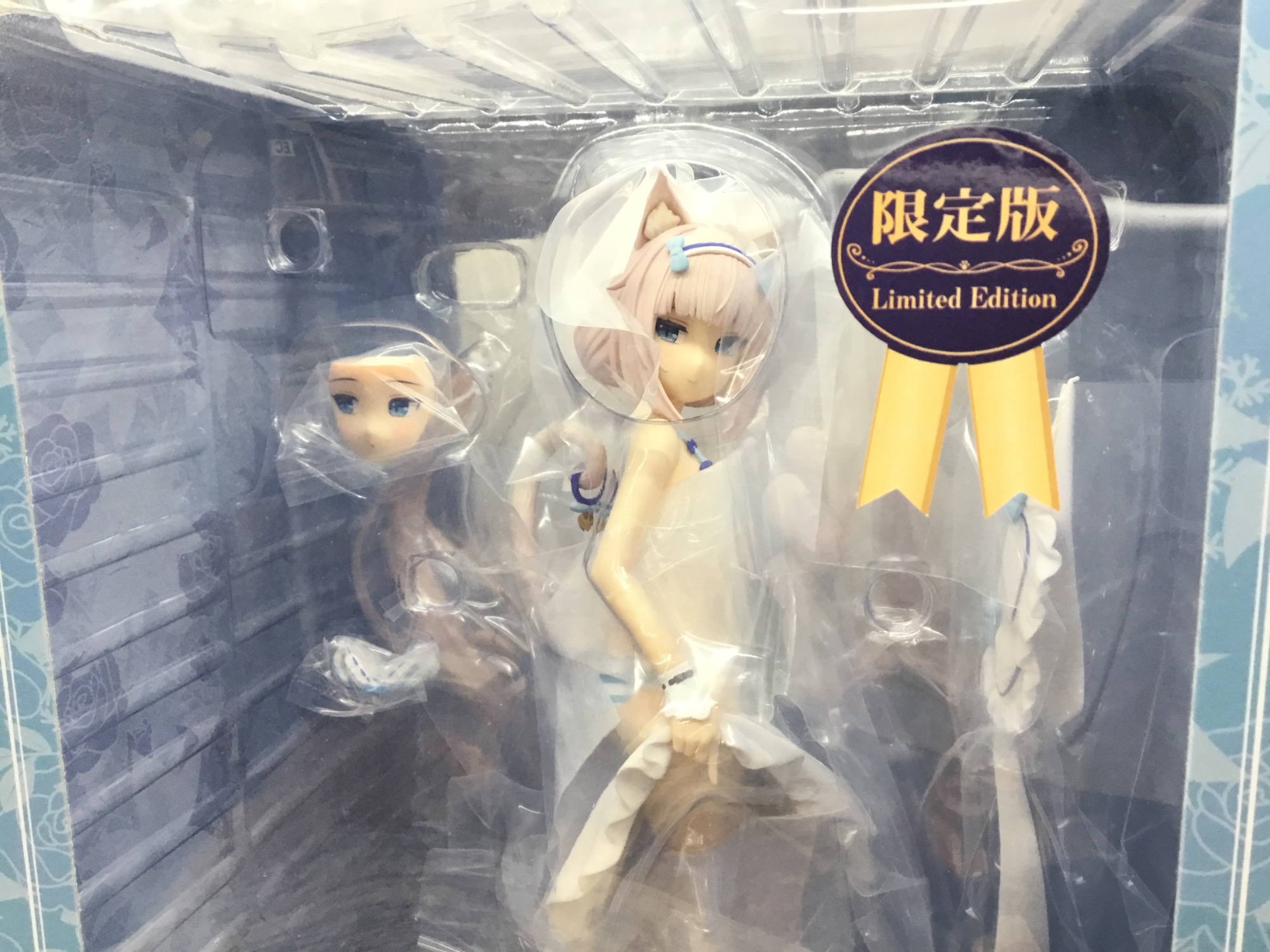 ネコぱら バニラ~着替えのひと時~(PLUM限定) 入荷です ネコぱら バニラ~着替えのひと時~(PLUM限定) 入荷です