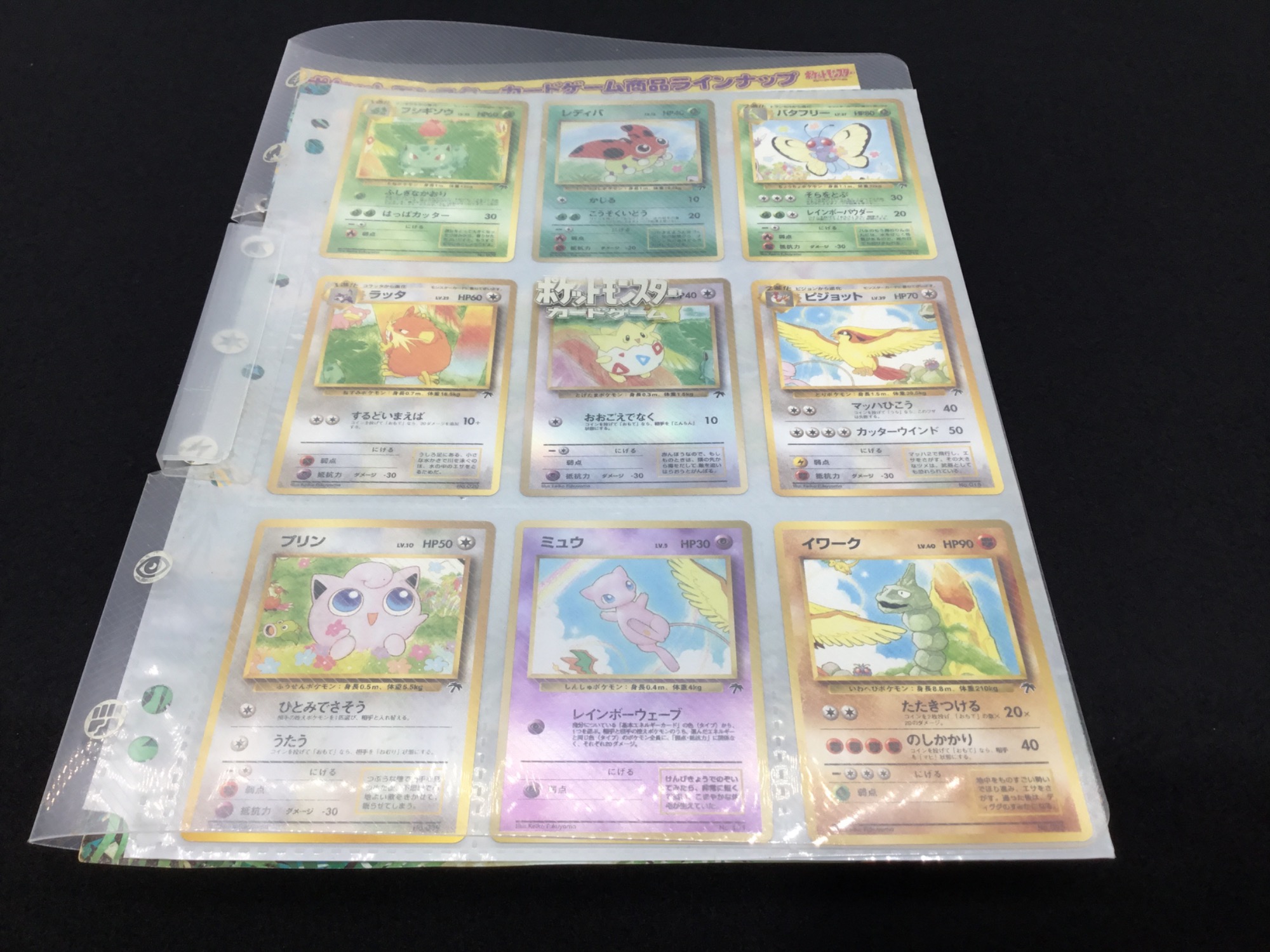 ポケモンカード ファイルレインボーアイランド ファイルのみカードなし ポケカ旧裏面】サザンアイランド＆レインボーアイランド 9枚