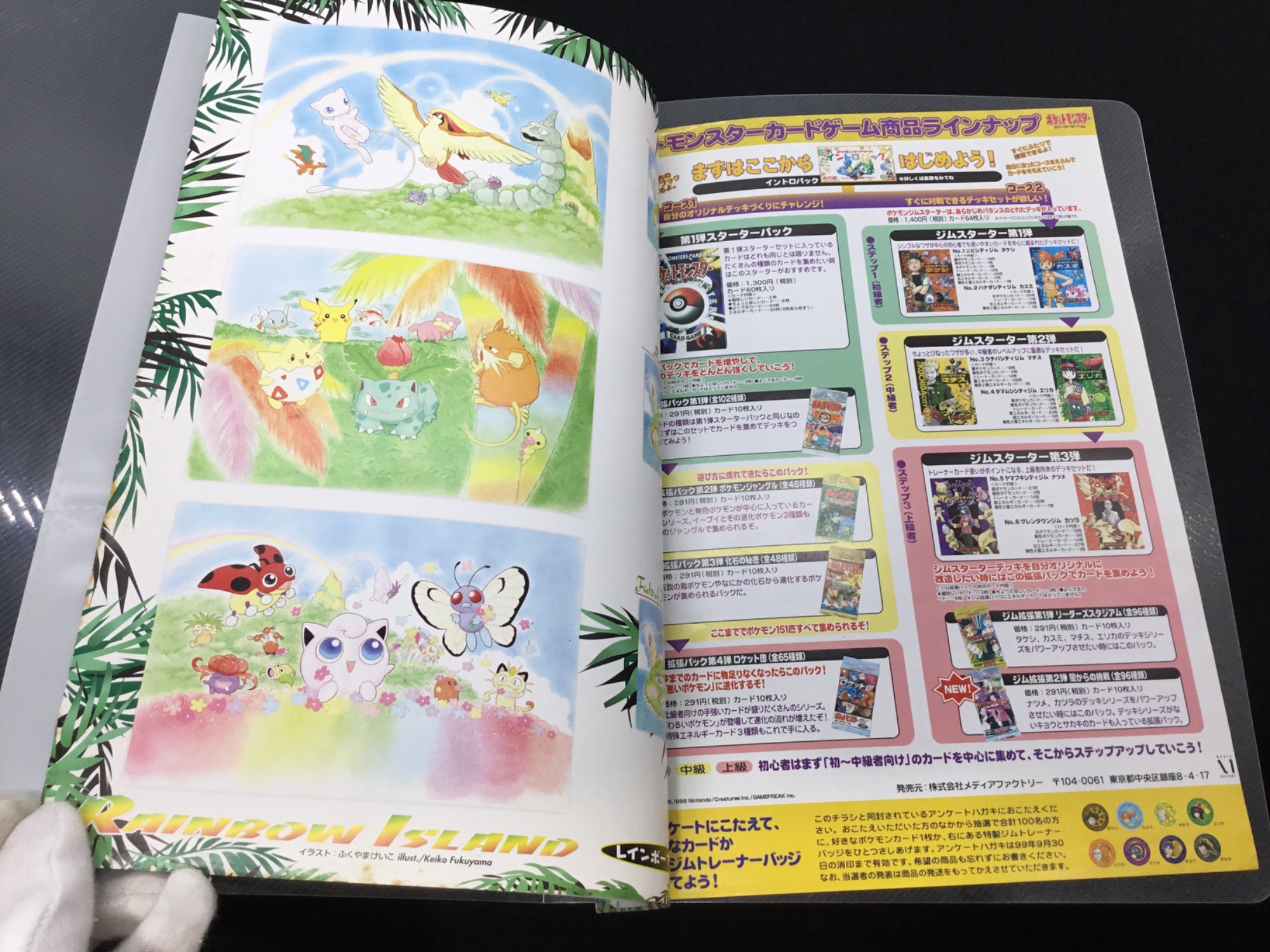 ポケモンカード ファイルレインボーアイランド ファイルのみカードなし IMG_0870-medium.jpeg