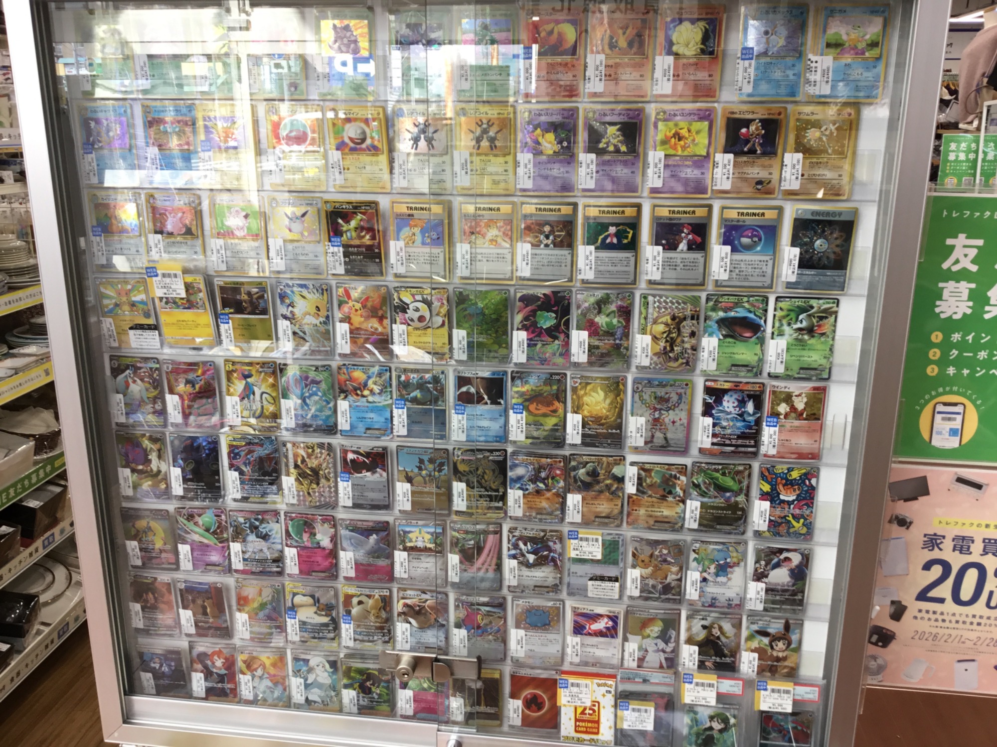 ポケカ】ポンチョを着たイーブイ(リーフィア版)入荷しました！【つくば