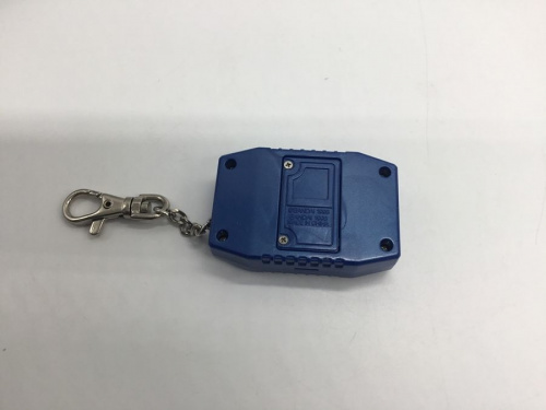 デジタルモンスターのつくば