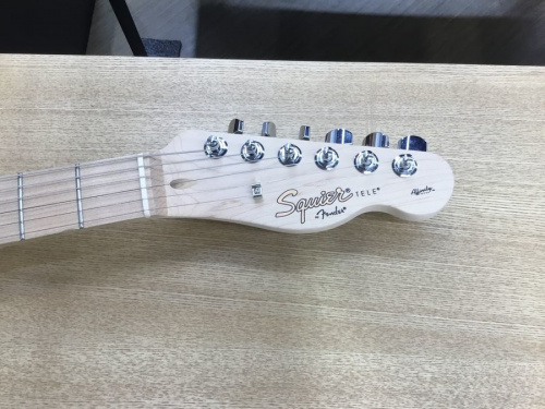 Squier by FENDERのつくば店