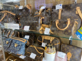 トレファク南浦和店ブログ