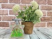 トレファク南浦和店ブログ