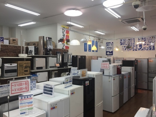 19年02月20日：画像６