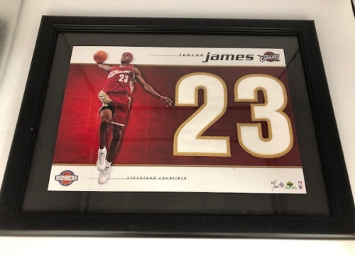 インテリアの額