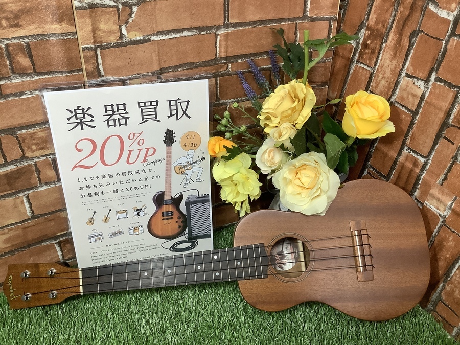 Pupukea（ププケア）ウクレレ値下げしました！｜2022年04月20日