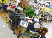 トレファクラパーク岸和田店ブログ