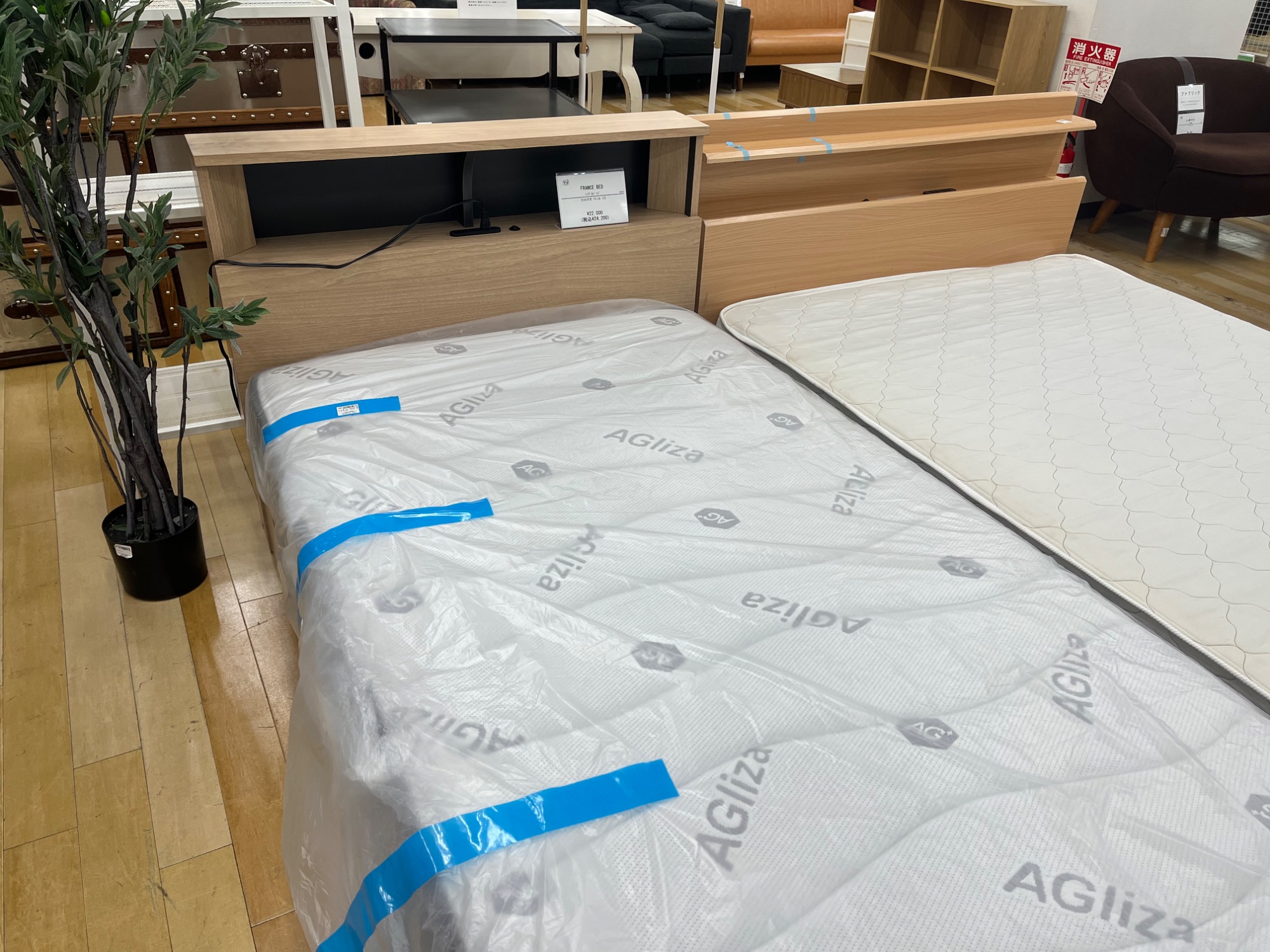 FRACE BED セミダブルベッド ナチュラル 【トレジャーファクトリー