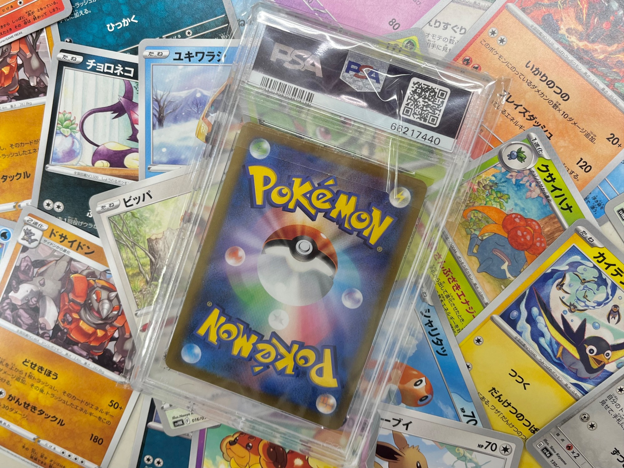 ナターシャPSA10 セット売り ナターシャPSA10 セット売り ナターシャPSA10 セット売り ナターシャ